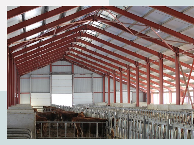 Строительство коровников в Добрянке